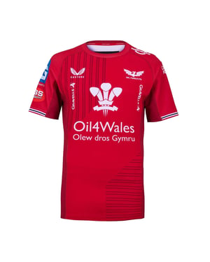 Castore Retro-rugbyshirt voor heren van Scarlets (Scarlet)
