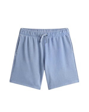 Tommy Hilfiger Heren Sweat Shorts (Blauw)