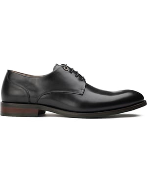 Simon Carter Stegosaurus Derby Schoenen
