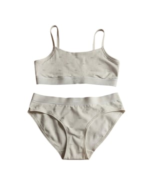 Lacoste Dames Logo Katoenen Stretch Slips (Wit)