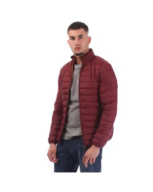 Aquascutum Heren Puffer Jas (Bordeaux)