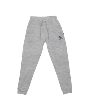 Aquascutum Heren Tapered Leg Slim Joggers (Grijs)
