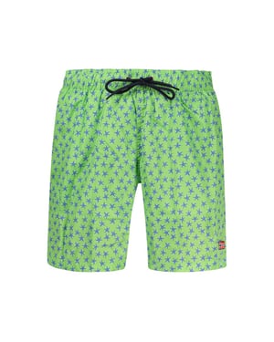 Noorwegen 1963 Groene Polyester Mannen Zwemshorts