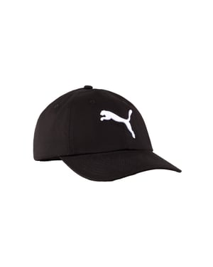 Puma-pet