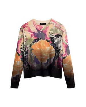 Desigual trui