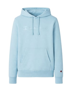 Champion hoodie