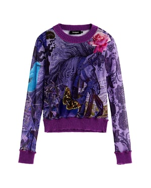 Desigual trui