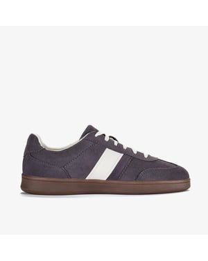 Seco Speed Dark Grey Suede Sneakers