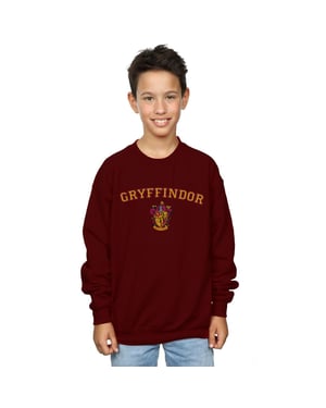 Harry Potter Jongens Gryffindor Crest Sweatshirt (Bourgondië)