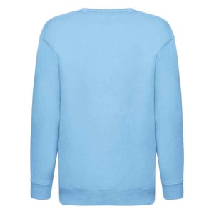 Fruit of the Loom Sweatshirt met Drop Shoulder voor Kinderen/Kinderen (Sky)
