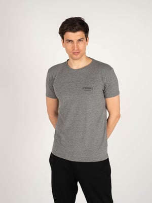 Iceberg T-shirt C-neck Mannen Grijs