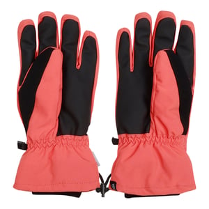 Dare 2B Heren Diversity II Skihandschoenen (Oranje Roest)