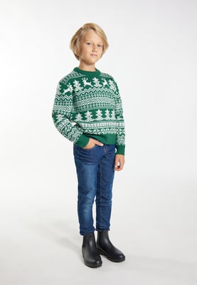 Mo Jumper jongens (kinderen) Groen Wit