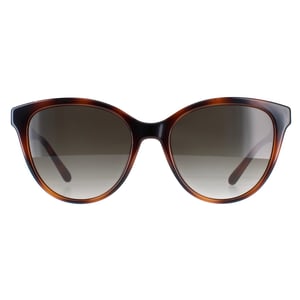 Salvatore Ferragamo SF1073S 240 tortoise grijs gradiÃ«nt zonnebril