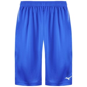Mizuno Authentic BB Heren Blauwe Shorts