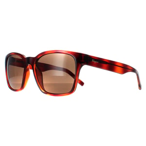 Salvatore Ferragamo SF959S 214 tortoise bruin zonnebril