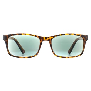 Montana Zonnebril MR73AS Havana Green Readers +1.00