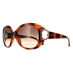 Salvatore Ferragamo zonnebril SF668 238 Tortoise Brown Gradiënt
