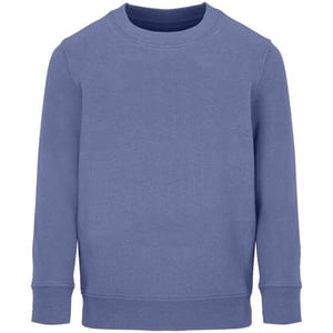 SOLS Columbia Kinder/Kinder Sweatshirt (Blauw)