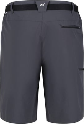 Regatta Heren Xert III Stretch Shorts (Afdichting Grijs)