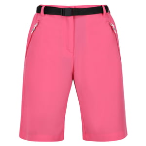 Regatta Dames/Dames Xert Stretch Shorts (Fruitduif)
