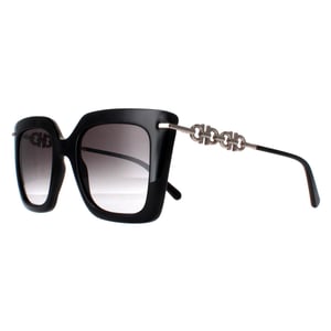 Salvatore Ferragamo SF1041S 001 zwarte rook gradiÃ«nt zonnebril