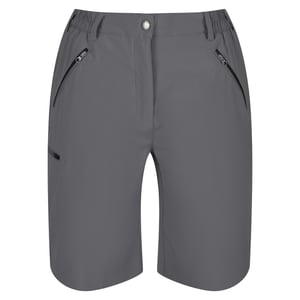 Regatta Dames/Dames Xert Stretch Shorts (Afdichting Grijs)