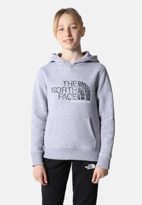The North Face Kids Drew Peak Overhead Hoodie in Grijs