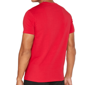 Emporio Armani heren T-shirt met logo en ronde hals