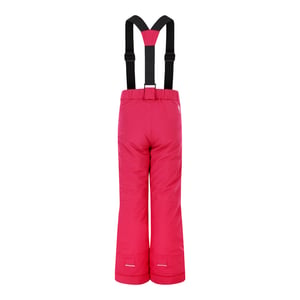 Dare 2B Kinderen/Kinderen Outmove II skibroek (Bessenroze)