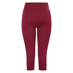 Dare 2B Dames/Dames In De Zone II Paneel 3/4 Legging (Afb.)