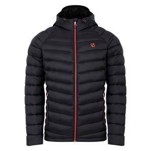 Dare 2B Heren Torrek Mountain gewatteerde jas (Zwart)