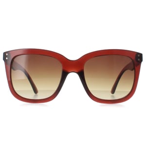 Calvin Klein CK22550S 210 transparant bruin zonnebril met kleurverloop