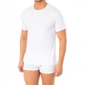 Heren-T-shirt met korte mouwen en ronde hals A0DGP. Dagelijks comfort en stijl.