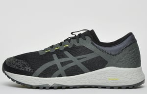 Asics Alpine XT All Terrain Heren