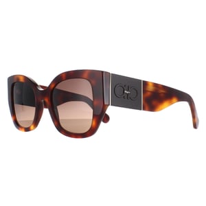 Salvatore Ferragamo SF1045S 238 klassieke tortoise bruin gradiÃ«nt zonnebril