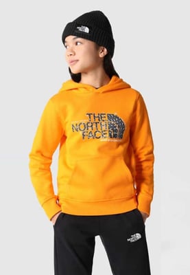The North Face Kids Drew Peak Overhead Hoodie in Oranje
