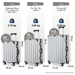 Hardshell Zilveren Kofferset Robuuste 8 Wiel Bagage Cabine Tas