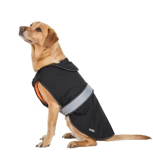Trespass Softshell-hondenjas met Butch Touch-sluiting (Zwart)
