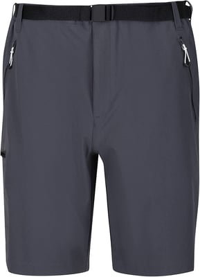 Regatta Heren Xert III Stretch Shorts (Afdichting Grijs)