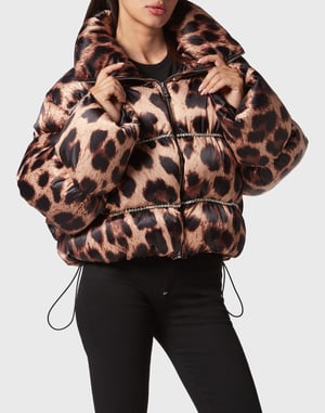 Donsjack Leopard
