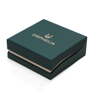 Orphelia 'Aurora' Dames 925 Sterling Zilveren Ketting met Hanger - Zilver/Goud ZH-7525/G