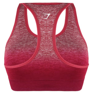 Gymshark Naadloze Dames Ombre Burgundy Sportbeha