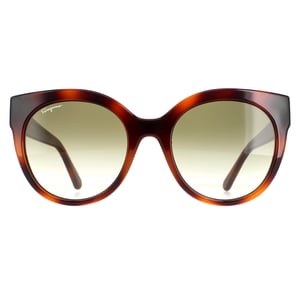 Salvatore Ferragamo Cat Eye Dames Tortoise Green SF1031s