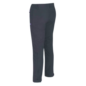 Regatta Grote Buitenshuis Heren Avontuur Tech Geo II Windbestendige Lange Been Softshell-broek (As)