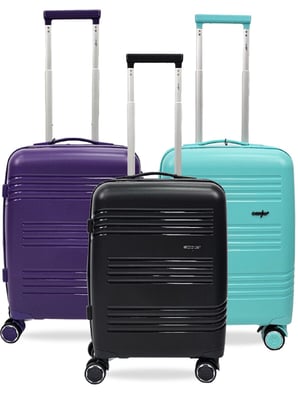 TSA-reistas met harde schaal en 4 wielbagage