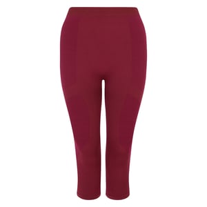 Dare 2B Dames/Dames In De Zone II Paneel 3/4 Legging (Afb.)