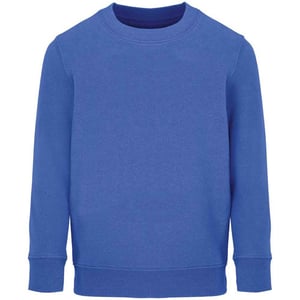 SOLS Columbia Kinder/Kinder Sweatshirt (Koningsblauw)