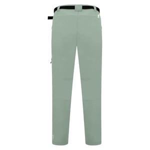 Dare 2B Heren Tuned In Pro Lichtgewicht Broek (Mediterraan groen)
