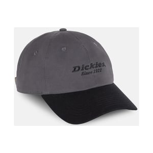 Dickies Everyday Dickies Katoenen Twill Unisex Volwassenen Grijze Baseball Caps